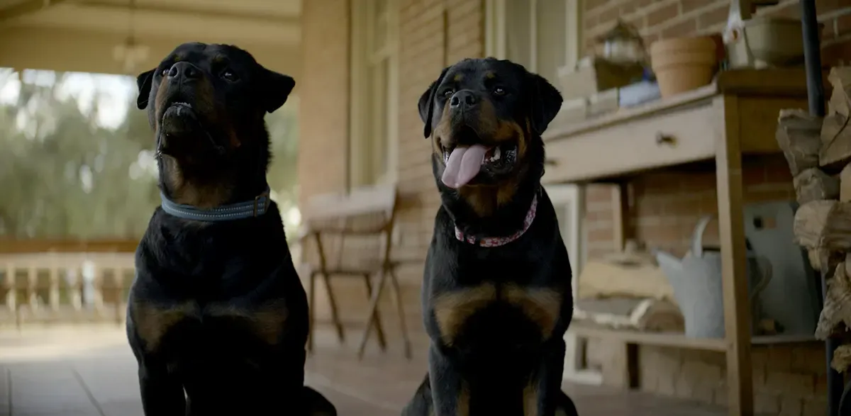 Сериалът The Old Man - 4